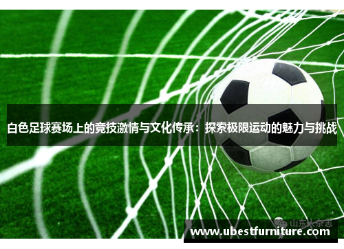白色足球赛场上的竞技激情与文化传承：探索极限运动的魅力与挑战